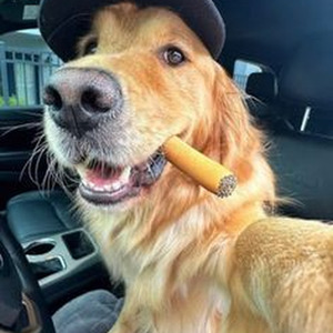 twenty eight (slowed + reverb)