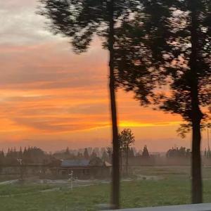 想和你落日黄昏