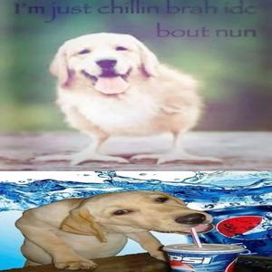 sevenup #amnesia (feat. Tmtup)