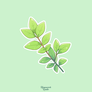 Plants