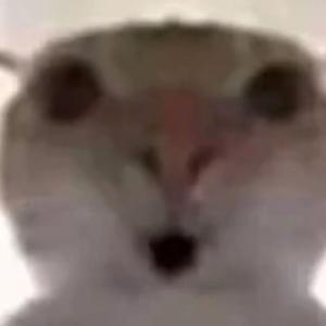 哈山酒（哈基米）