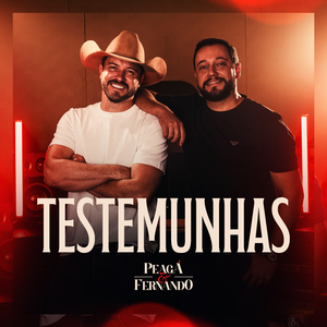 Testemunhas