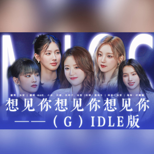 想见你想见你想见你——（G）IDLE版
