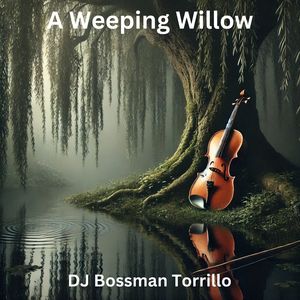 Weeping Willow
