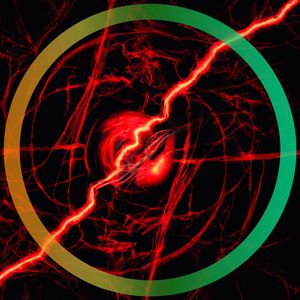 Chaos in the Universe