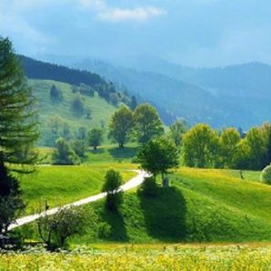 琴键间回忆的碎片 (4)