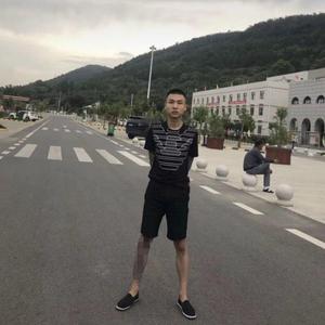 我在黑社会的日子