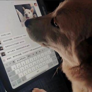 舔狗不会幸福（Prod By Roman）