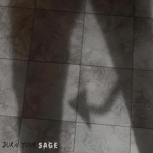 BURNYOURSAGE (feat. Mallow V)