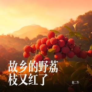 故乡的野荔枝又红了