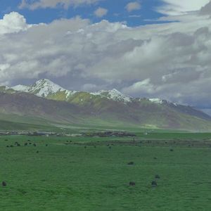 无与伦比的美丽