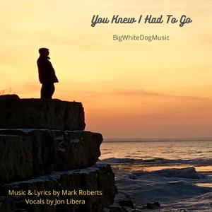 You Knew I Had To Go