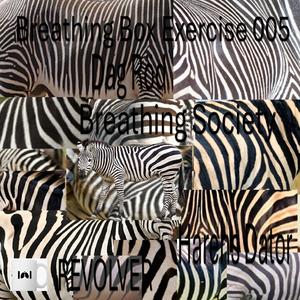 Roomtone 1 (feat. Dag Röd)