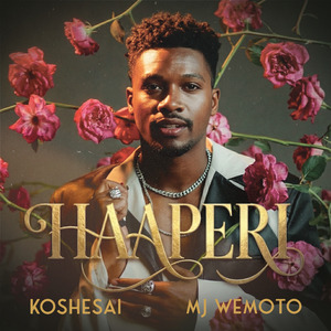 Haaperi