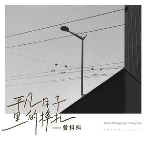 平凡日子里的挣扎 (0.83x)