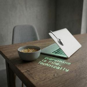 Everything is Fine, Technically