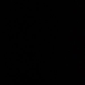 那句没说的抱歉