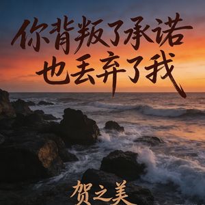 你背叛了承诺也丢弃了我