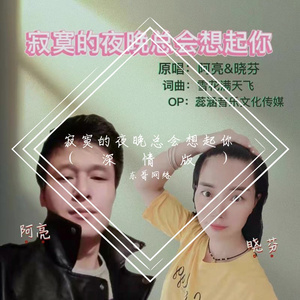 寂寞的夜晚总会想起你（深情版）