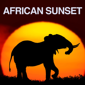 African Sunset