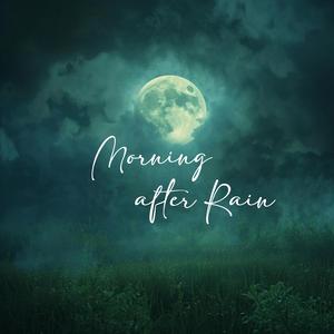 Morning after Rain