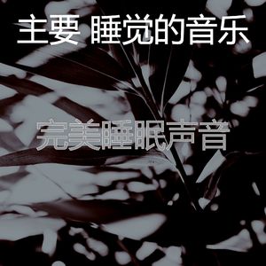 温和午觉时间梦想