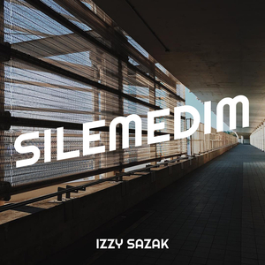 Silemedim