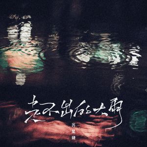 走不出的大雨（0.8x）