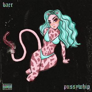 *****whip