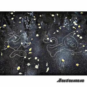 秋天我在麓山南路看枫叶落在我肩膀