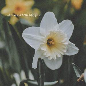 What a Sad Little Life, Jane