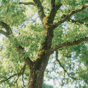 为碎银几两奔波又何妨