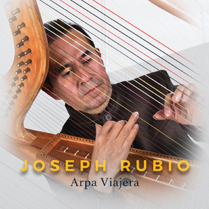 Alcaraván Compañero