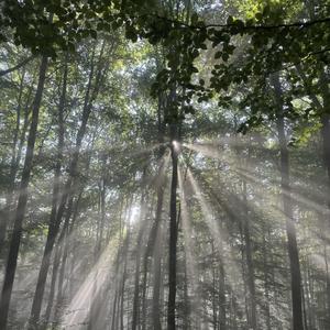 Les (Instrumental Slowed)