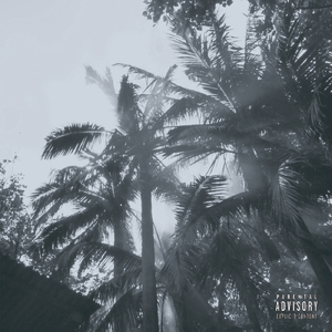 トコナツダンス