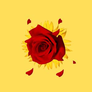 Perfecta (feat. Mc Koliwa)