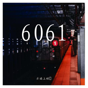 6061