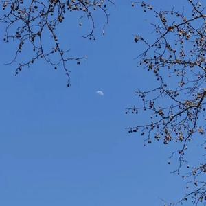 不是灯能点亮的夜