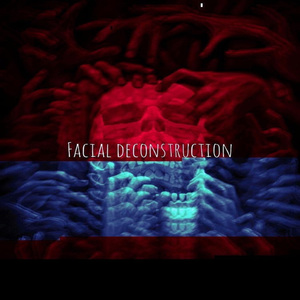 Facial Deconstruction