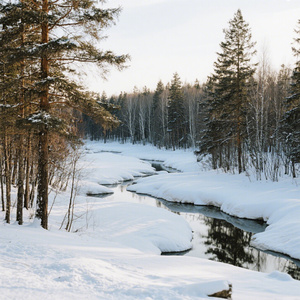 嫁一个东北男人