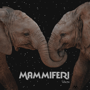 Mammiferi