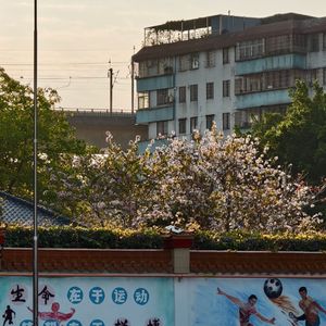 前半生还挺容易被过完的