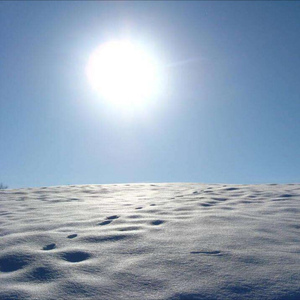 冬天的光芒（Tribute to 马金涛）