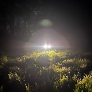 missaplay (accelerated)
