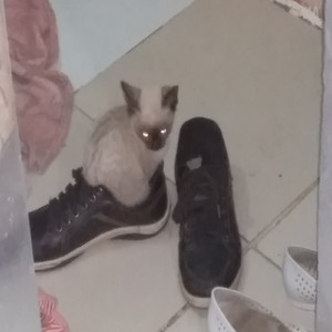 Equação