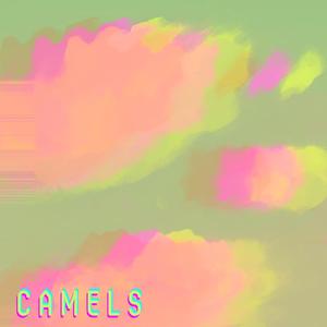 Camels