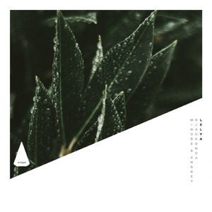 Fatta (Original Mix)