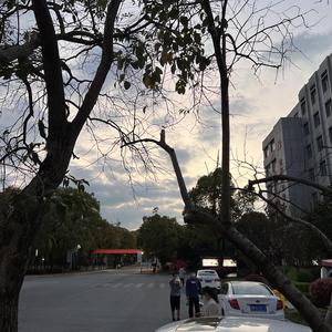 我和我的祖国