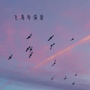 飞鸟与黄昏