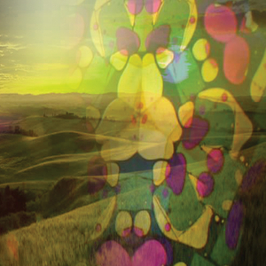 A Soft Breeze At 4am